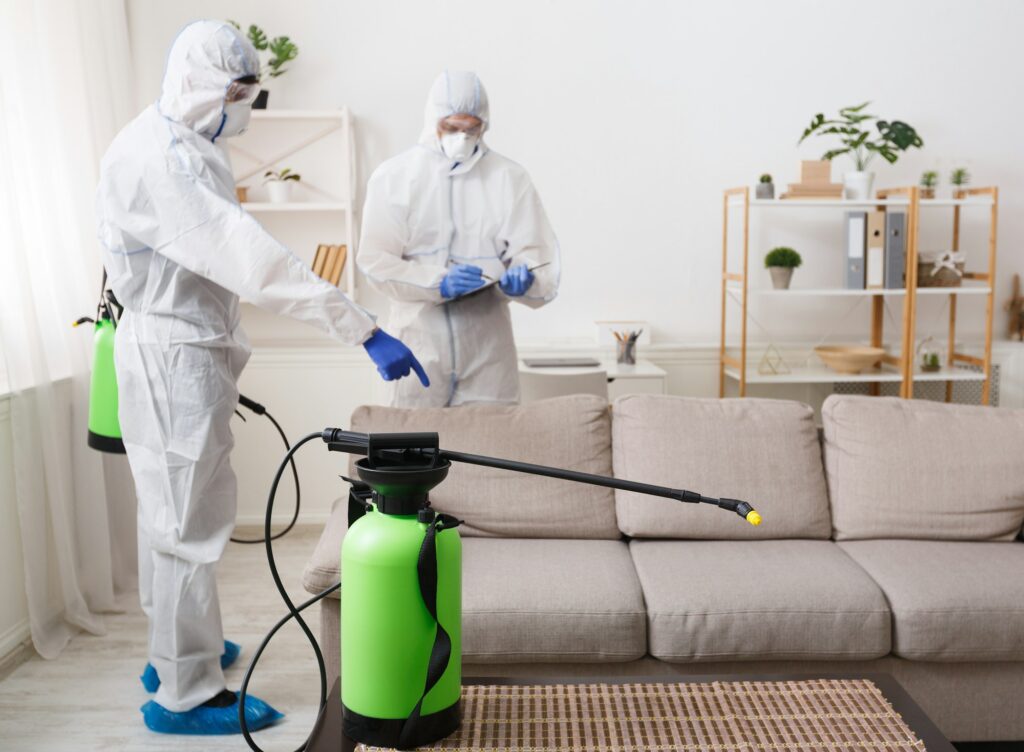 Cleaning company making treatment of sofas and surfaces